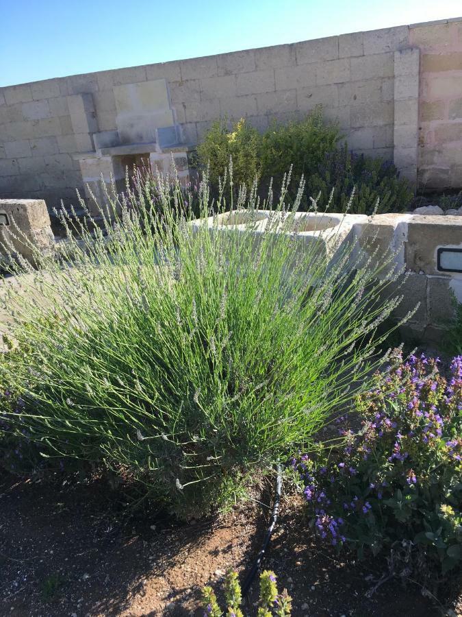 Masseria Asteri B&B Cannole Luaran gambar